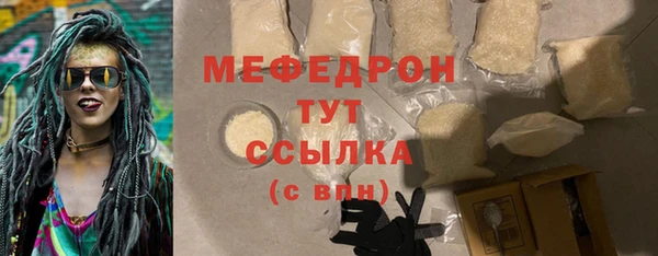 мдпв Елабуга