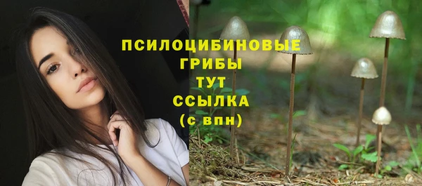 мдпв Елабуга