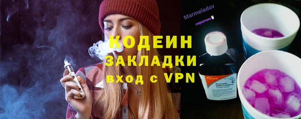 мдпв Елабуга