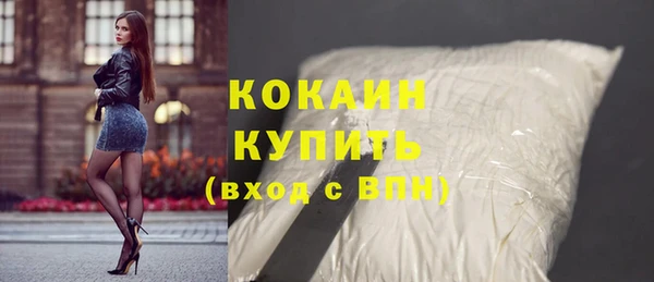 мдпв Елабуга