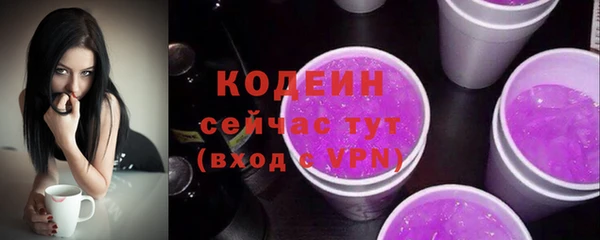 мдпв Елабуга