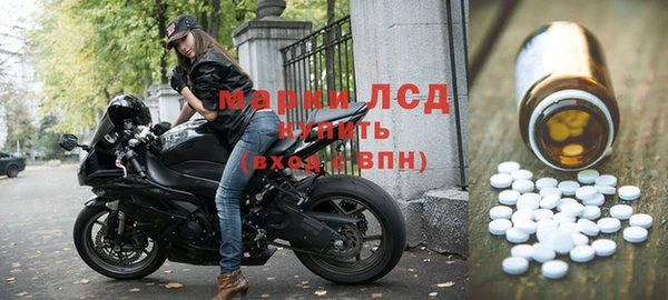 мдпв Елабуга