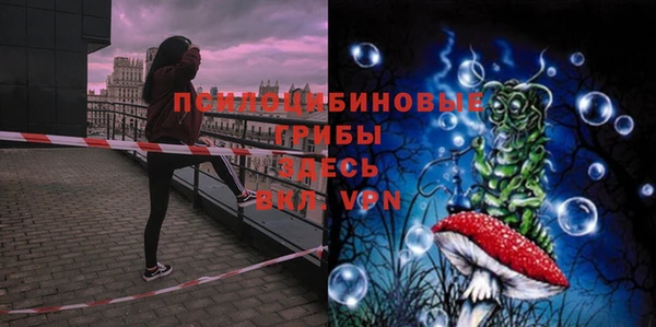 мдпв Елабуга