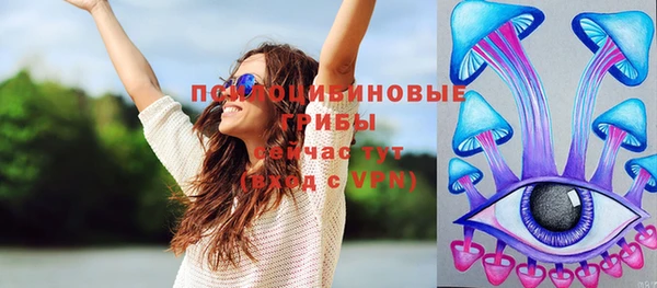 мдпв Елабуга