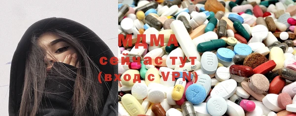 мдпв Елабуга